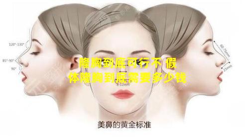 隆胸到底可行不 假体隆胸到底需要多少钱